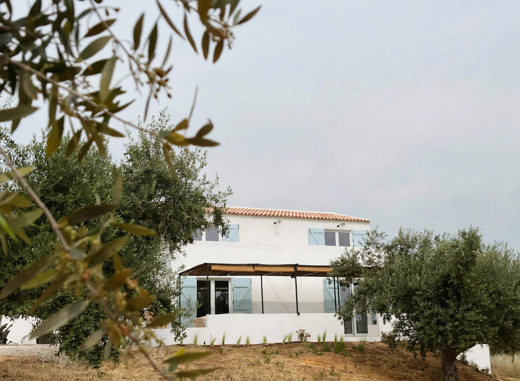 Exterior da casa MonteZinho, entre oliveiras